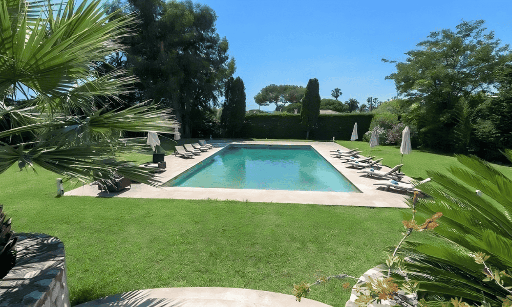 Ground-level view of the pool at Villa Cap d’Antibes, seen through palm fronds, with sun loungers arranged on the natural stone deck
