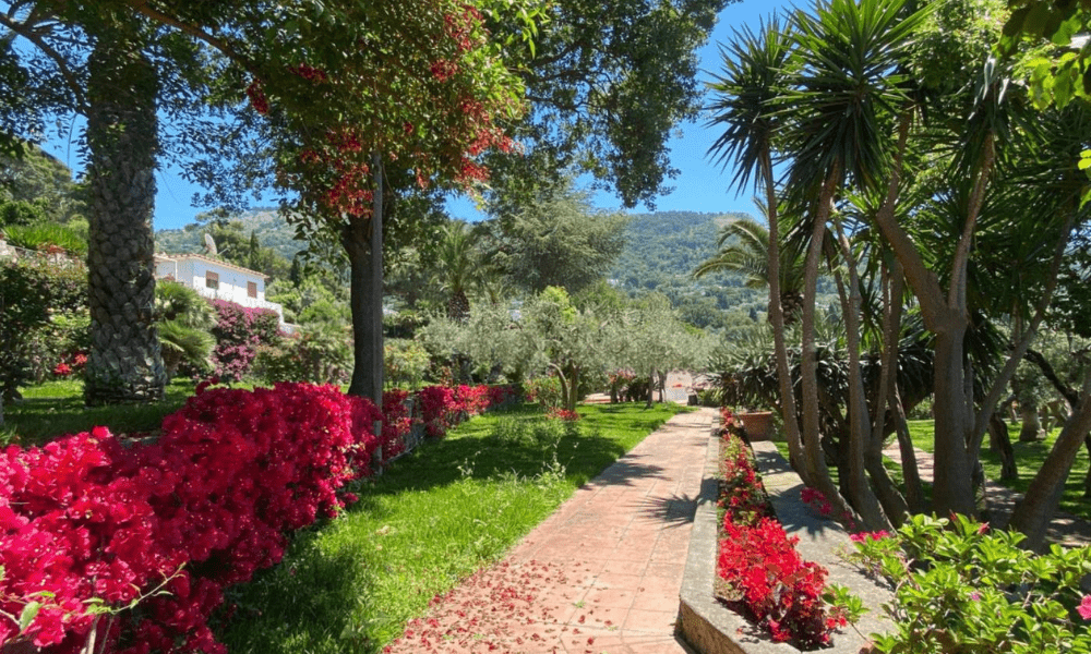 Villa Hotel Anacapri in Capri, Italy – gourmet seafood dish artfully plated with local ingredients