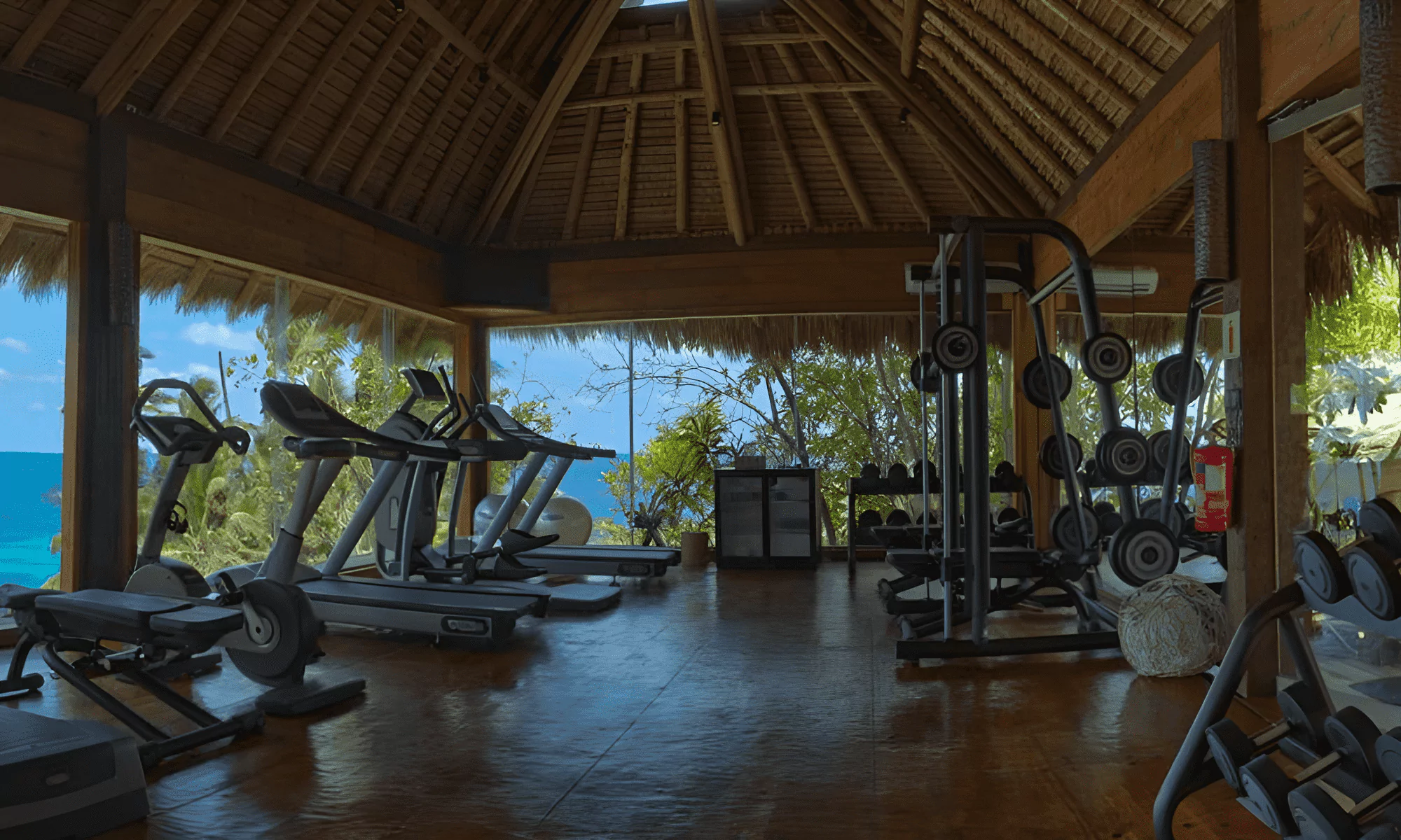Professional gym at Villa Hotels Seychelles' private hotel on the island.