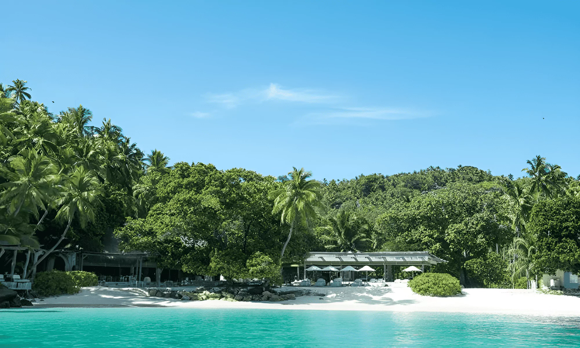 Palm trees with thatched bungalows on the Seychelles Islands